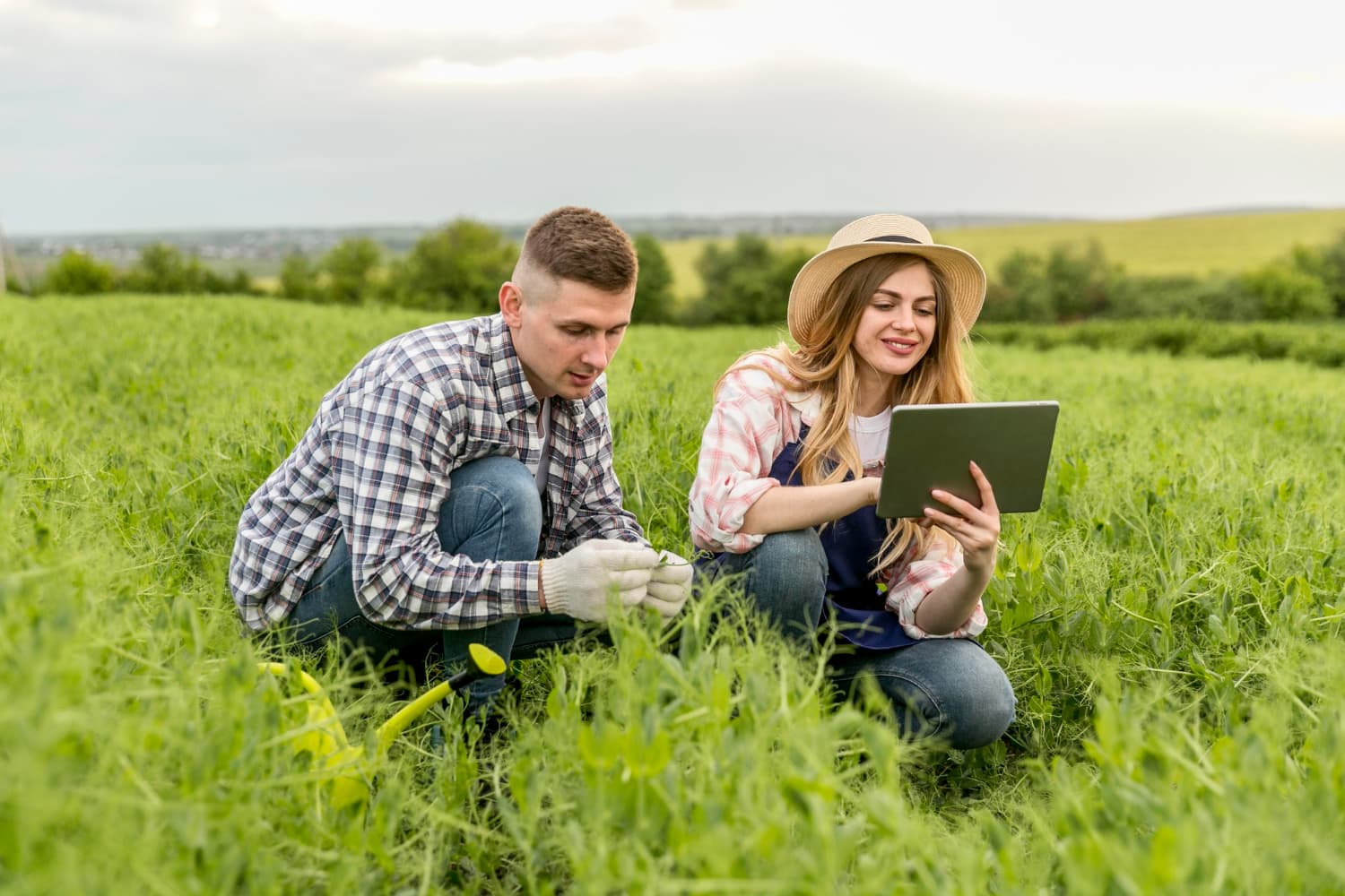 Agricultural Consulting