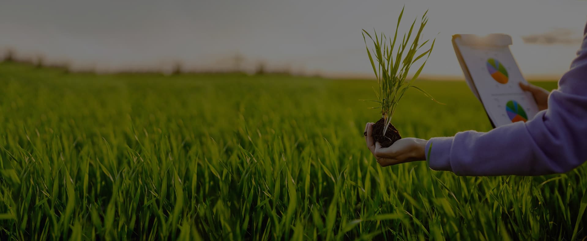 Agronomic Excellence Since 2009